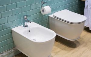 Ako sa používa bidet a ktorý typ sa hodí do vašej domácnosti?