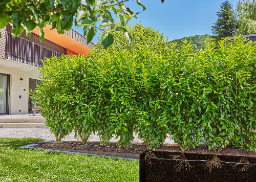 Gardena 13504-20 kvapkacia hadica pre kríky a živé ploty 50 m