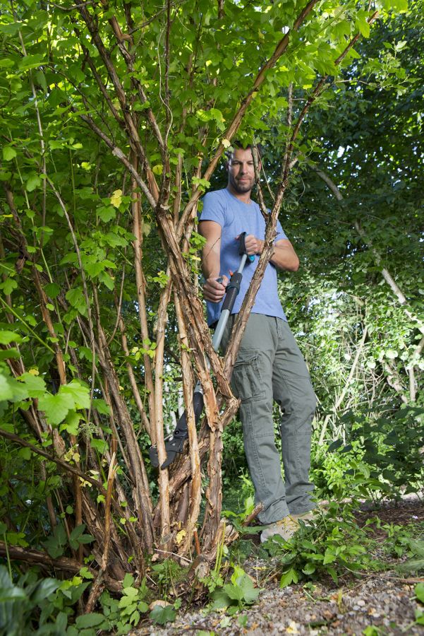 Gardena 12010-20 nožnice na konáre SlimCut