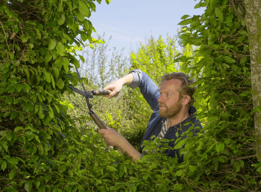 Gardena 12300-20 Nožnice na živý plot NatureCut